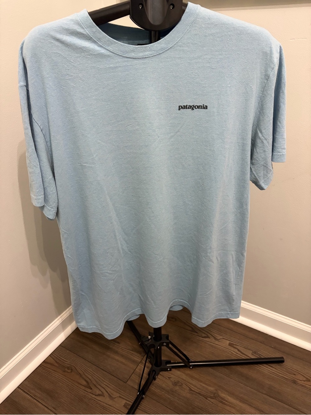 Patagonia Light Blue Minimal Logo Short Sleeve Tee